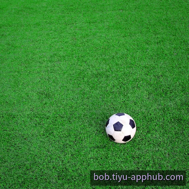 BOB App 移动端客户端操作界面全景